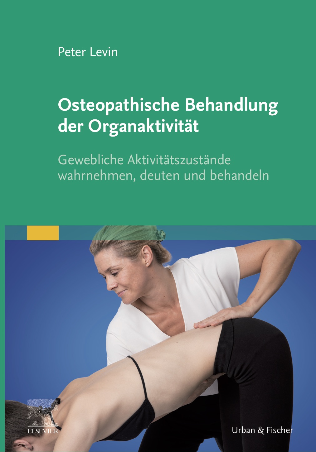Osteopathische behandlung der Organaktivität